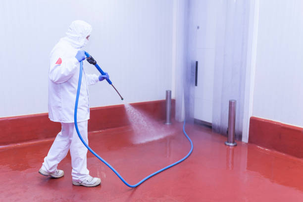 Best House Exterior Washing  in Oakfield, WI